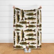 one yard of fish plushies - smallmouth bass and largemouth bass 