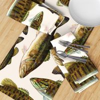 one yard of fish plushies - smallmouth bass and largemouth bass 