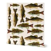 one yard of fish plushies - smallmouth bass and largemouth bass 