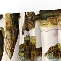 one yard of fish plushies - smallmouth bass and largemouth bass 