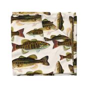 one yard of fish plushies - smallmouth bass and largemouth bass 