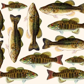 one yard of fish plushies - smallmouth bass and largemouth bass 