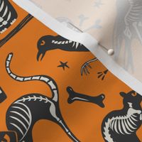 Halloween X-Ray - Orange & Black