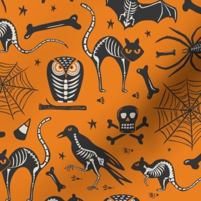 Halloween X-Ray - Orange & Black