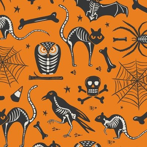 Halloween X-Ray - Orange & Black