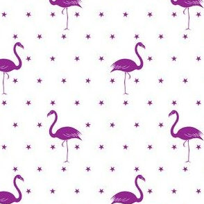 flamingo and stars in purple