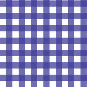 Prairie Yankee Gingham