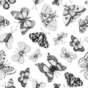 Dot art butterflies