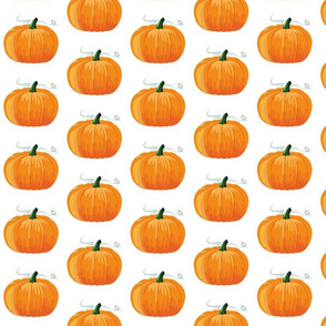 Pumpkins everywhere! 