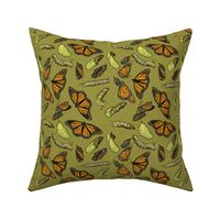 Monarch Butterflies and Caterpillars on Olive Green