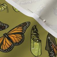 Monarch Butterflies and Caterpillars on Olive Green