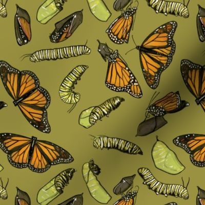 Monarch Butterflies and Caterpillars on Olive Green