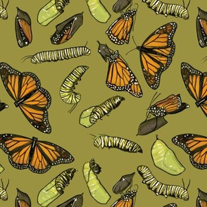 Monarch Butterflies and Caterpillars on Olive Green