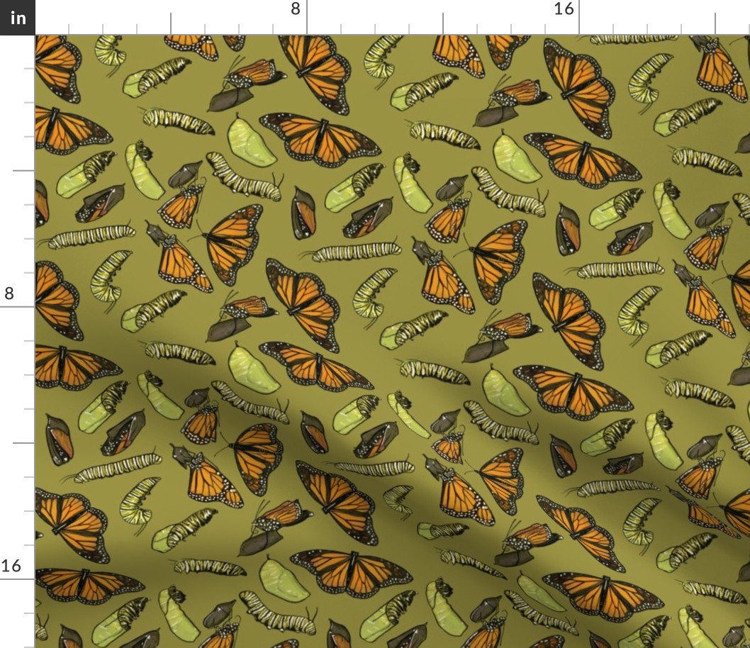 Monarch Butterflies and Caterpillars on Olive Green