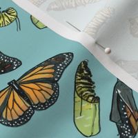 Monarch Butterflies and Caterpillars on Light Blue