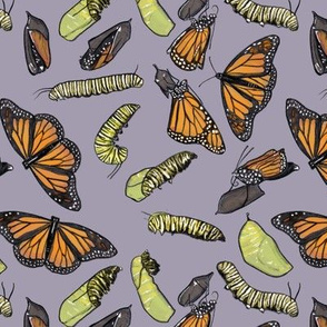 Monarch Butterflies and Caterpillars on Purple