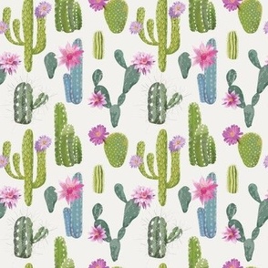 Cactus Pink Blooms