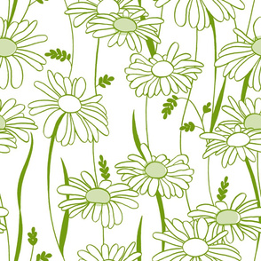 flowing daisies spring green