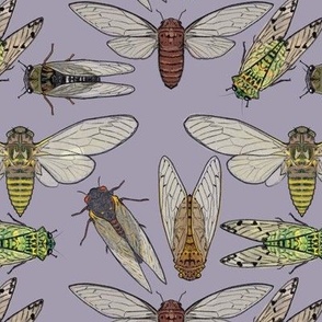 Cicadas on Light Purple