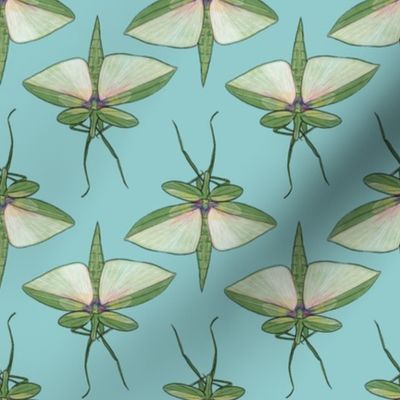 Stick Insects on Light Blue