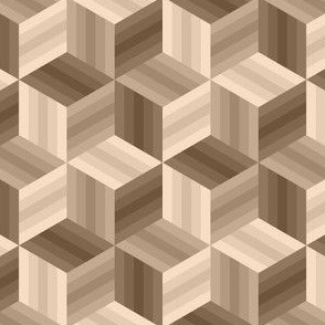 06758177 : trombusbar 5 : wooden floor