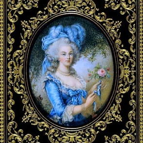 15 Marie Antoinette french France Queen Empress poufs gilt gold frames Victorian lace trellis  roses flowers floral leaves leaf filigree Baroque rococo elegant gothic lolita Princess 