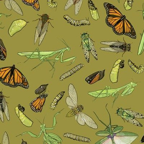 All the Insects on Olive Green