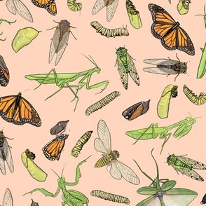 All the Insects on Light Pink