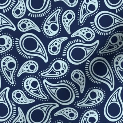 PAISLEY in blue