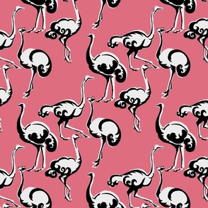 A_New_Ostrich_pink_pattern