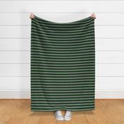 Magic School Snake Wizard Stripes Dark Green and Grey / School Colors / House Colors / Halloween Stripes