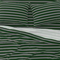 Magic School Snake Wizard Stripes Dark Green and Grey / School Colors / House Colors / Halloween Stripes