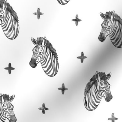 zebras black