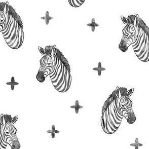 zebras black