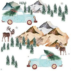 6" Family Fun in the Mountains & Moose 