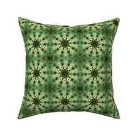 Green Sedum Snowflakes 2365