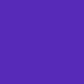 solid bright violet (#572AB7)