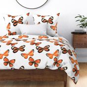 Watercolor Butterflies - Large Scale