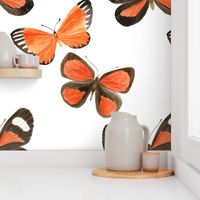 Watercolor Butterflies - Large Scale