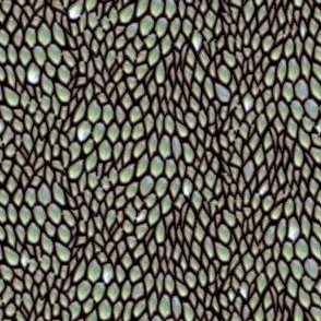 sparkle_opalescent_dragon_scales