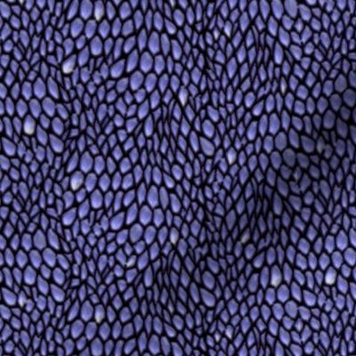 sparkle_blue_jean_dragon_scales