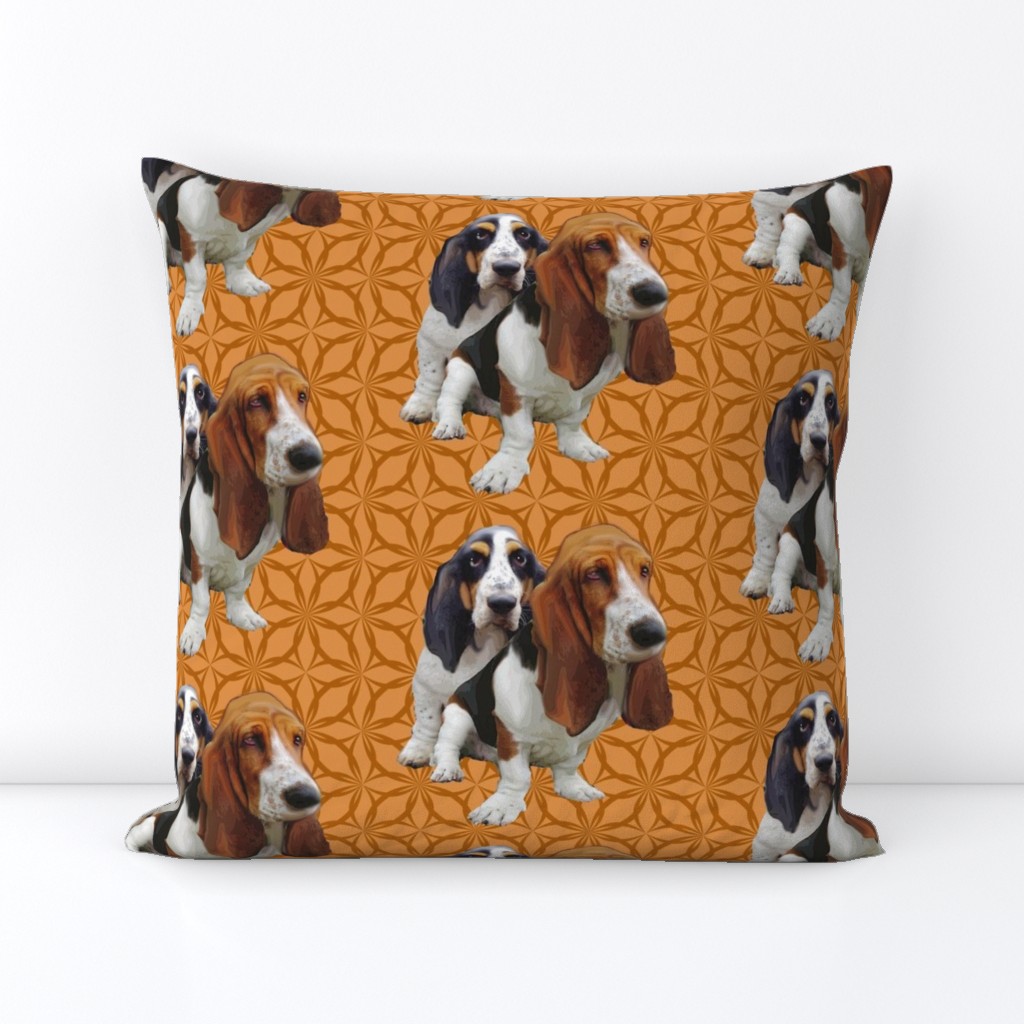 basset hounds two