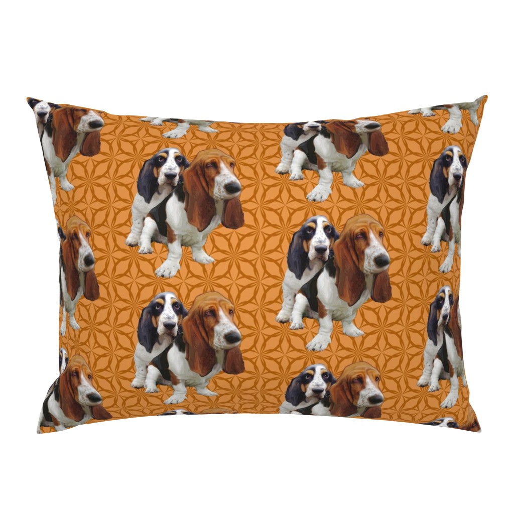 basset hounds two