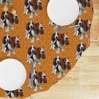 basset hounds two