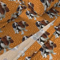 basset hounds two