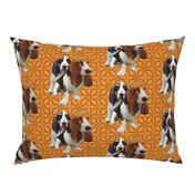 basset hounds two