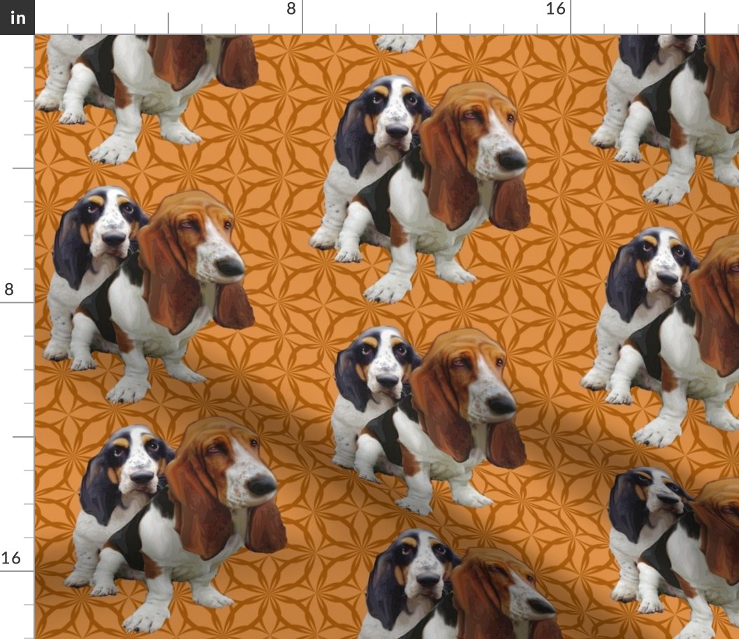 basset hounds two