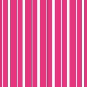 Bright Pink and White Vertical Stripe