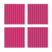 Hot Pink and Black Stripes