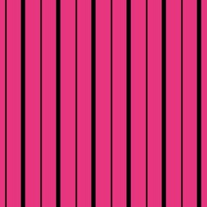 Hot Pink and Black Stripes